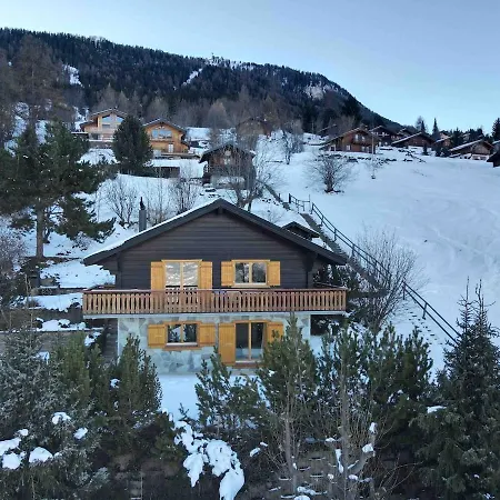 Cozy With View-peaceful Escape In Nendaz
