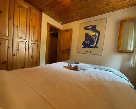 Cozy With View-peaceful Escape In Nendaz